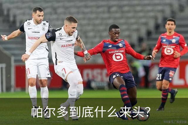 帕尔多到底什么来头？