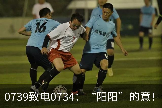 0739致电0734：“阳阳”的意！