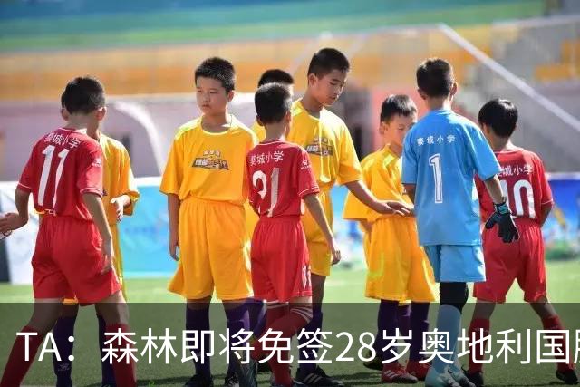 TA：森林即将免签28岁奥地利国脚施拉格尔，签约2+1年
